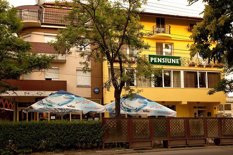 Cazare in Timisoara - PENSIUNEA DINU RESIDENCE - Timisoara