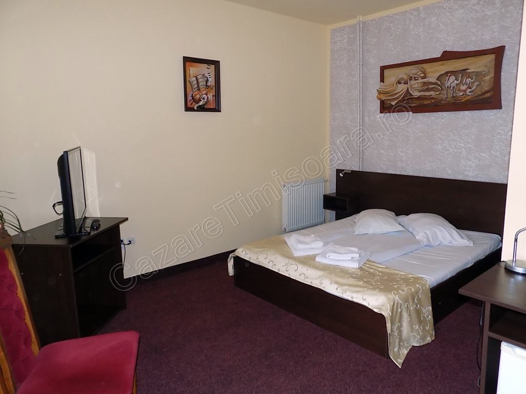 Cazare in Timisoara - HOTEL STRELITIA - Timisoara